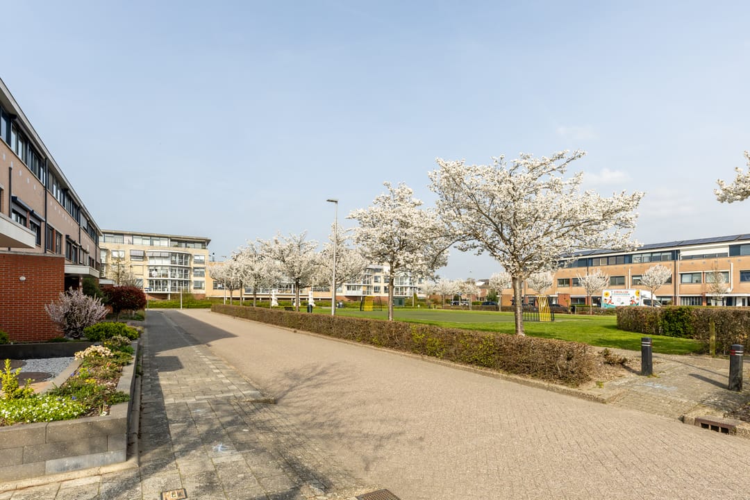 Foto 7 van Sonatelaan 54