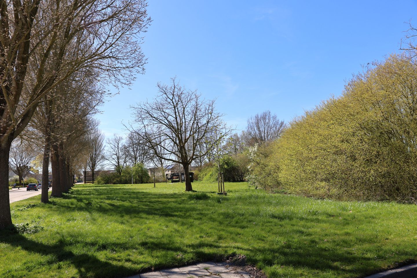 Foto 25 van Mansel 2