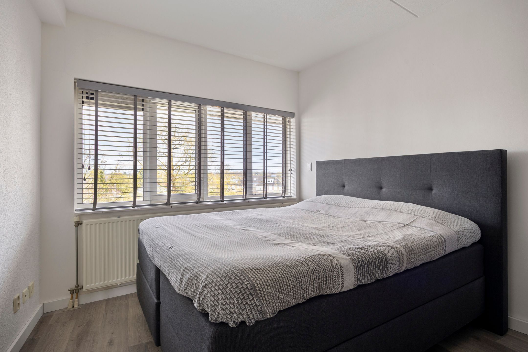 Foto 15 van de Kortveter 60