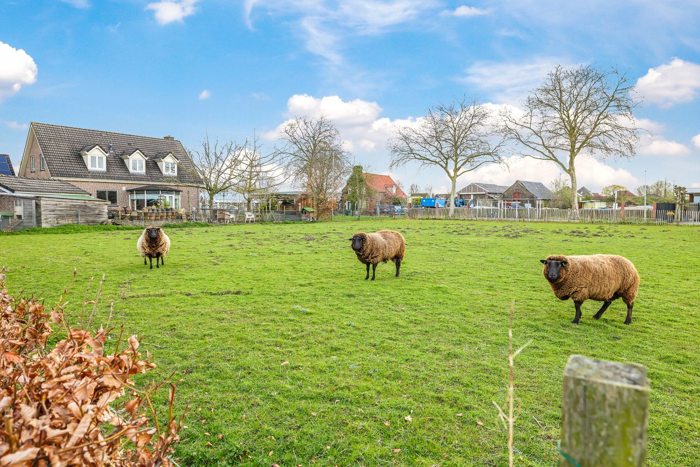 Foto 50 van Pannerdenseweg 70