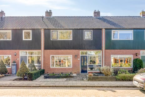 Ahavestraat thumbnail