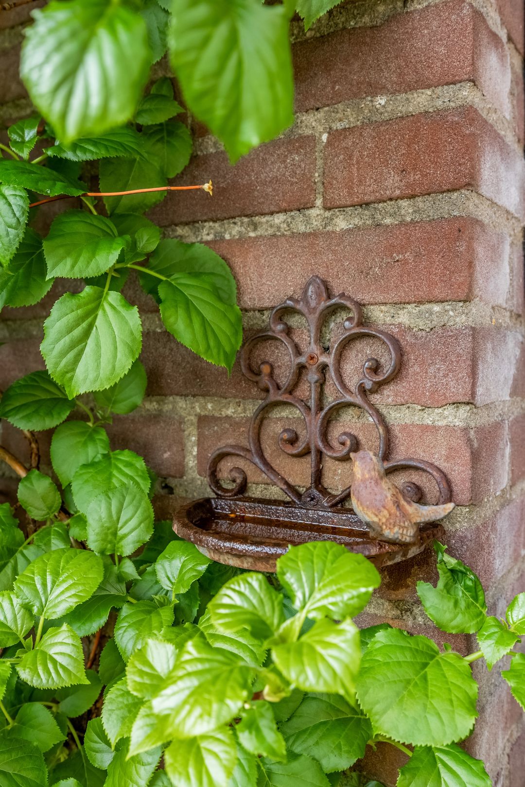 Foto 7 van Keukenhof 4