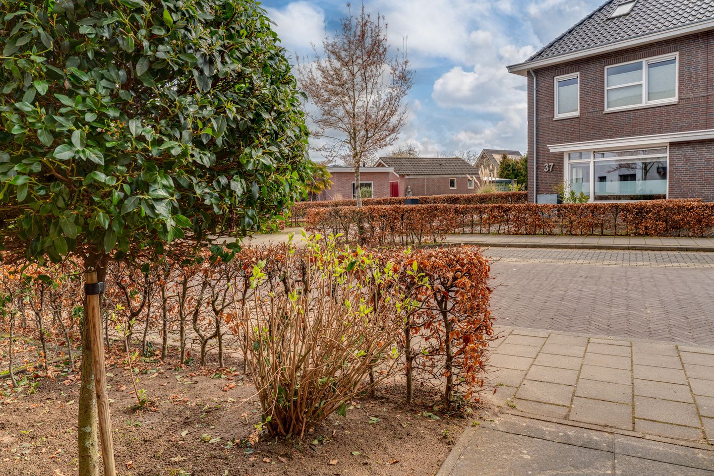 Foto 44 van Hoge Witteveld 84