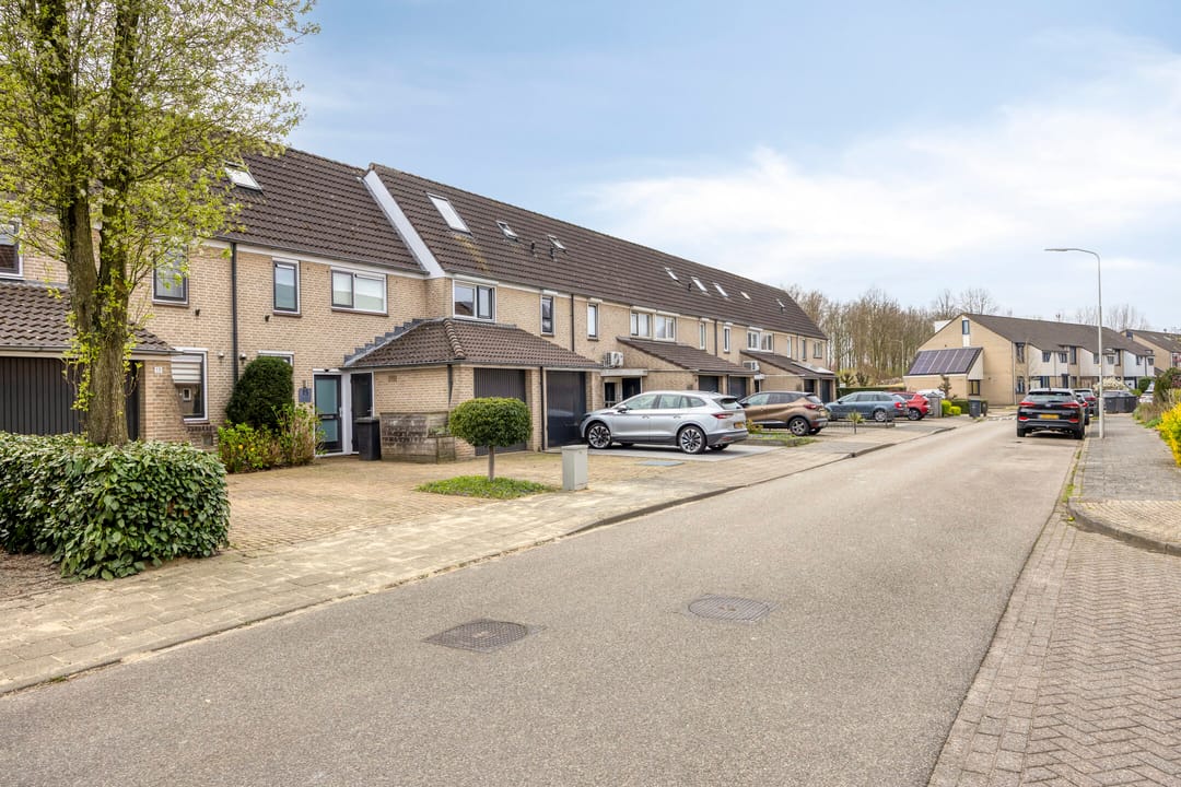 Foto 43 van Potterstraat 13