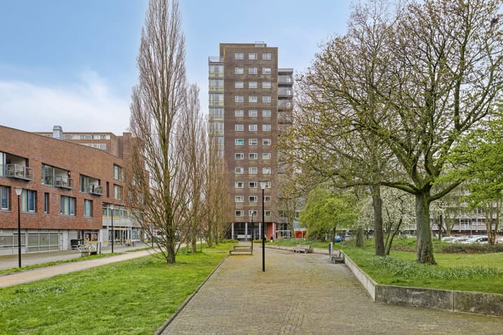 Foto 5 van Laan van Berendrecht 292