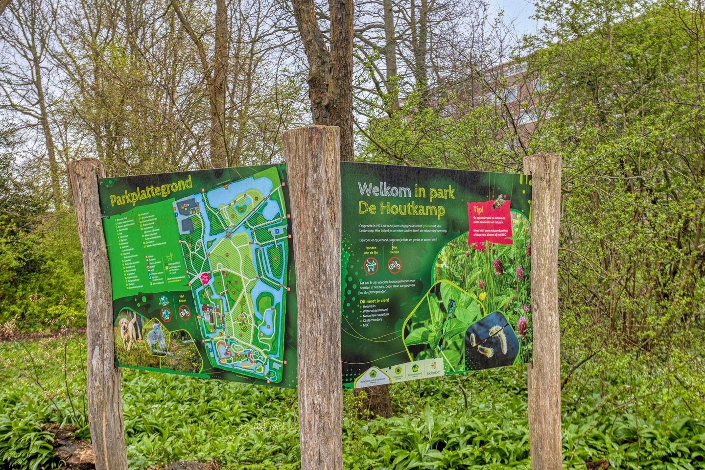 Photo 50 of Laan van Berendrecht 292