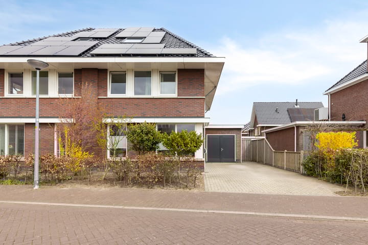 Photo 4 of Biestarwe 33