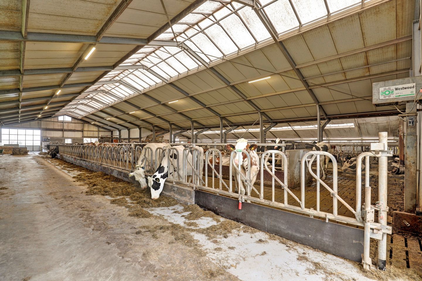 View photo 4 of Papekopperdijk 23