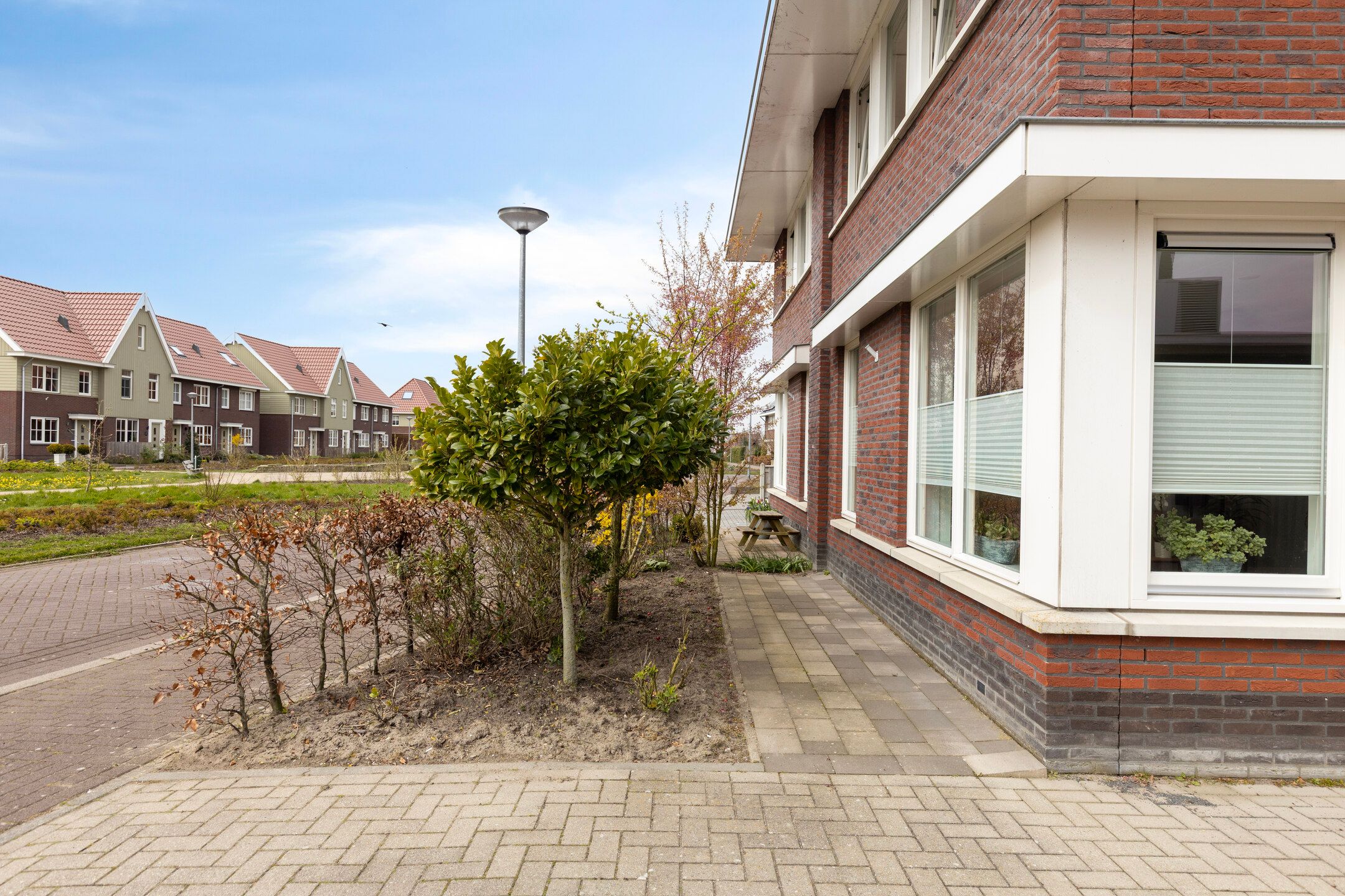 Foto 6 van Biestarwe 33