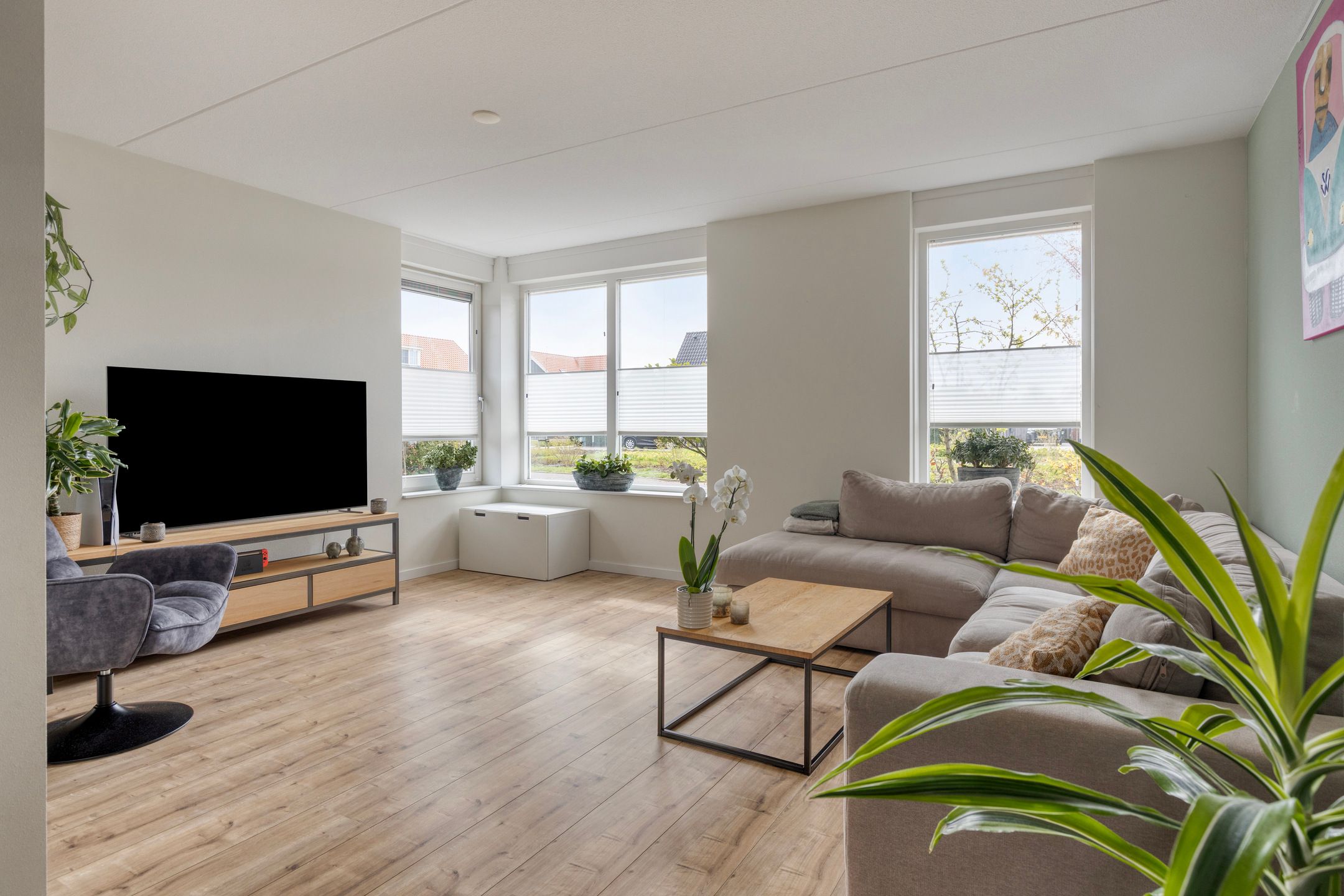 Foto 9 van Biestarwe 33