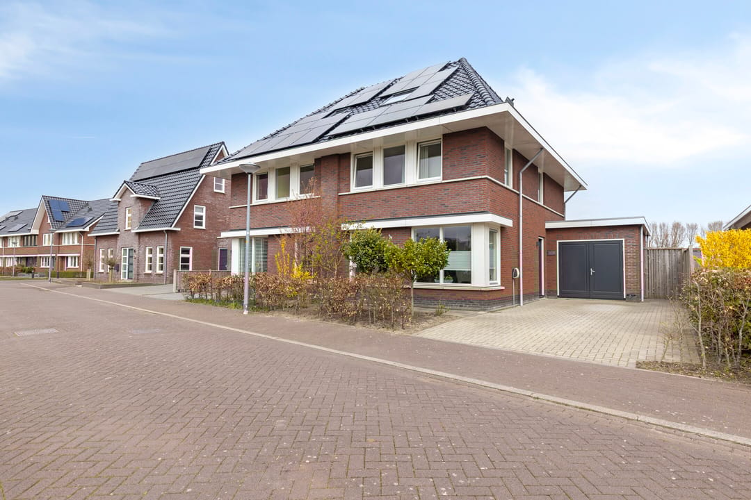 Foto 1 van Biestarwe 33