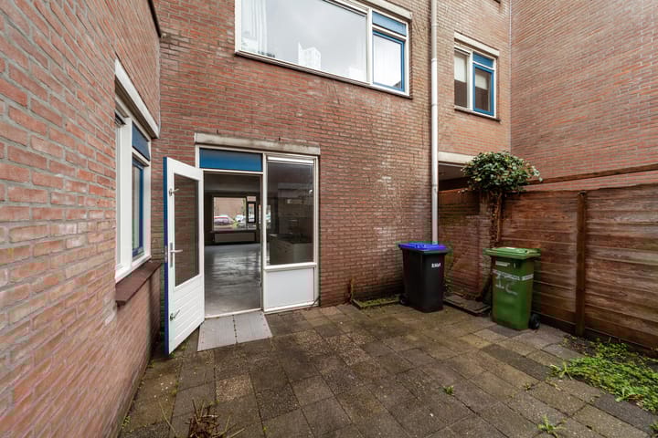 Photo 2 of Aalscholver 12