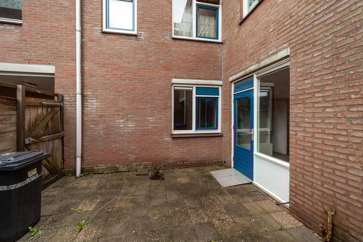 Photo 3 of Aalscholver 12