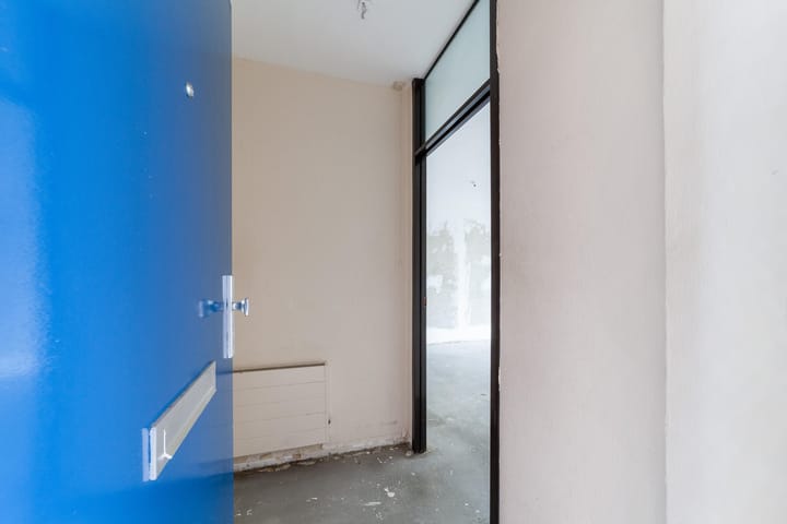 Photo 5 of Aalscholver 12