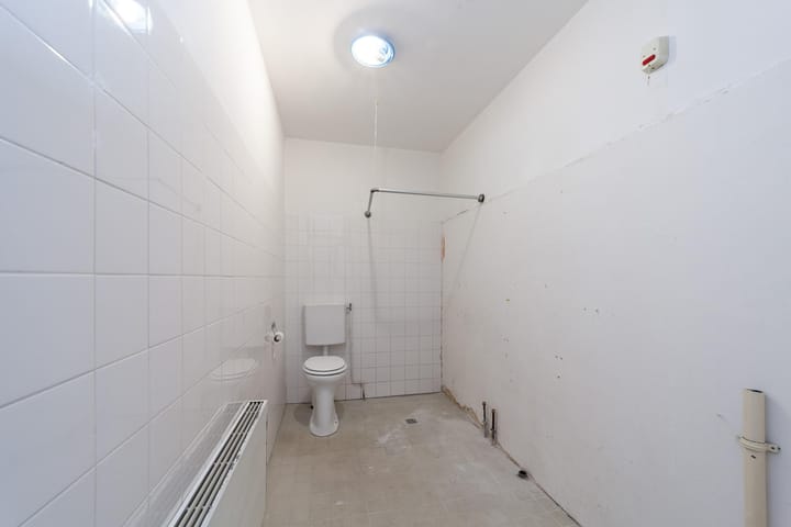 Photo 4 of Aalscholver 12