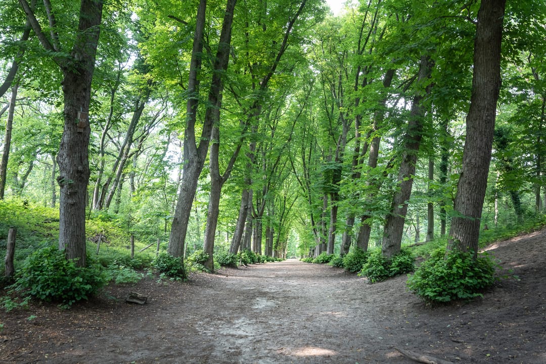 Foto 62 van Heemsteedse Dreef 271