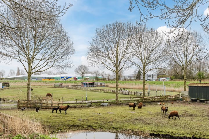 Foto 4 van Ringweg 80