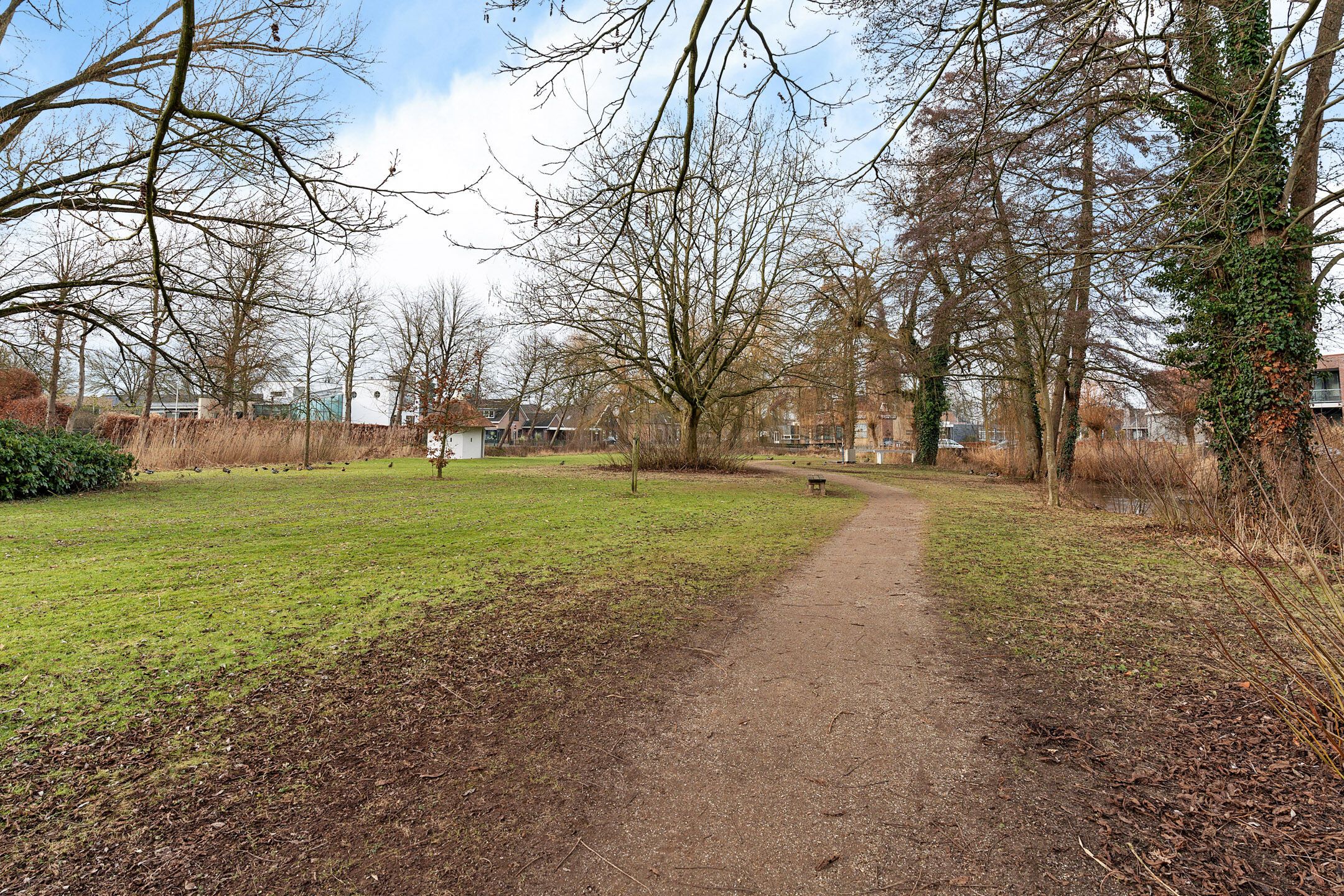 Foto 12 van Steintjesweide 23