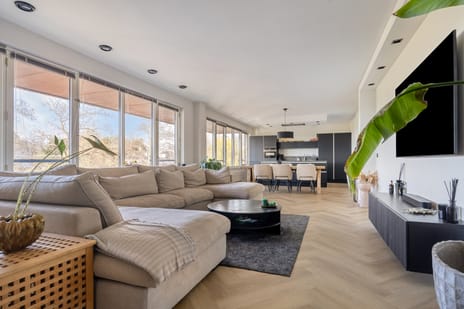 Havannasingel thumbnail