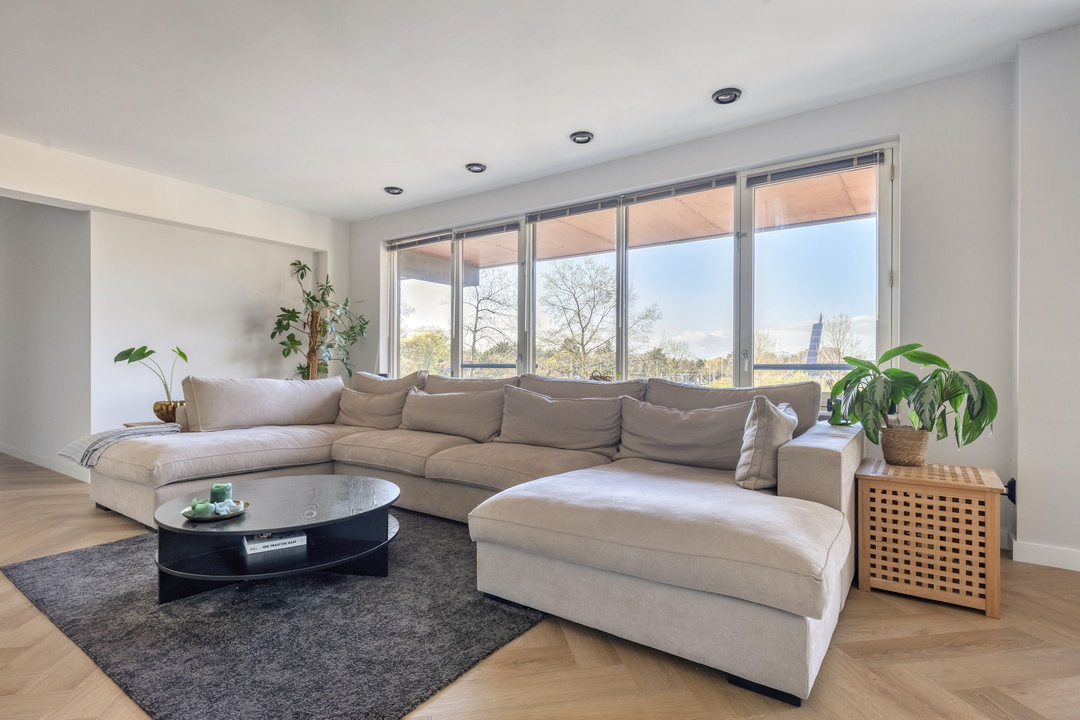 Foto 18 van Havannasingel 6