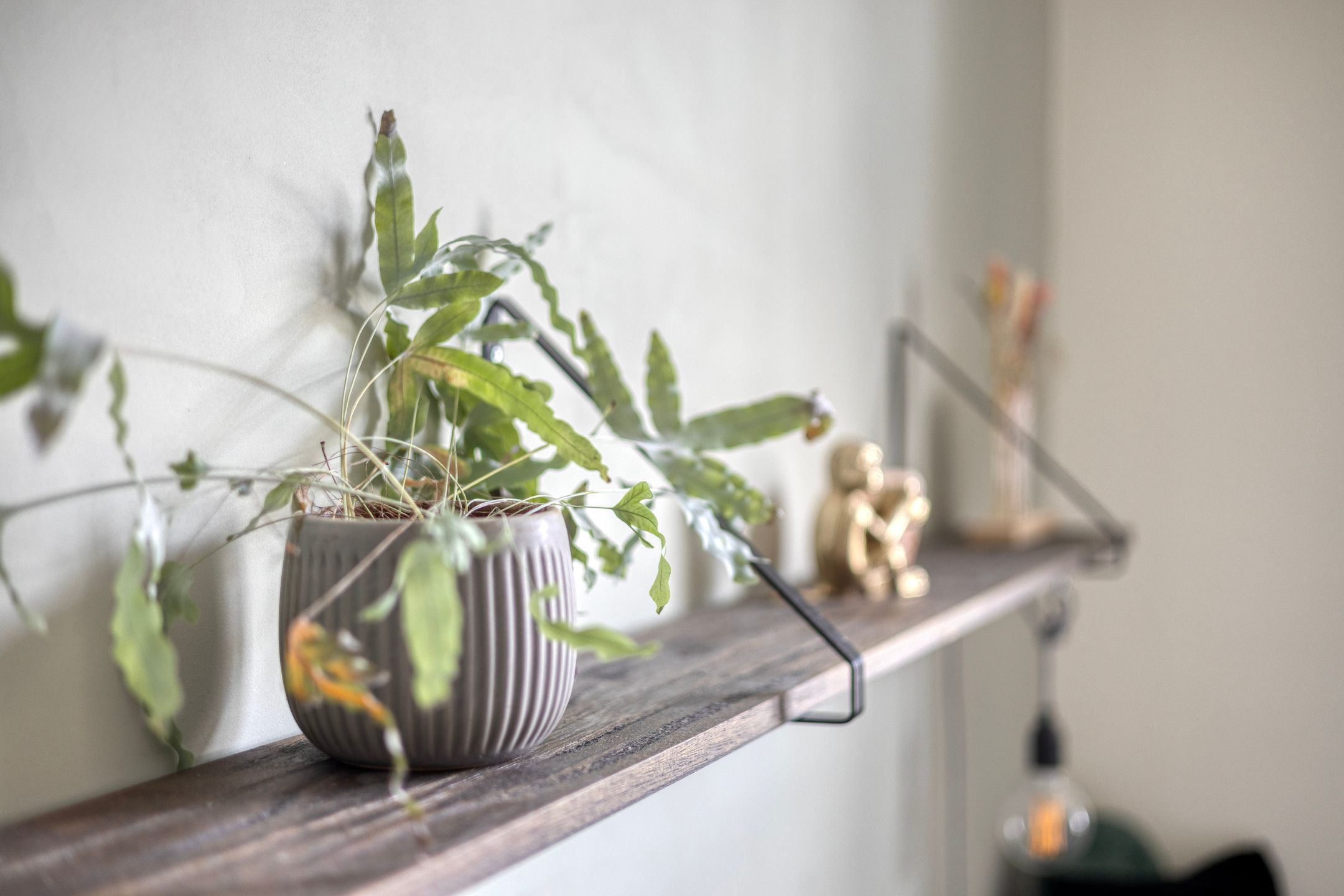 Photo 45 of Ten Bleek 17