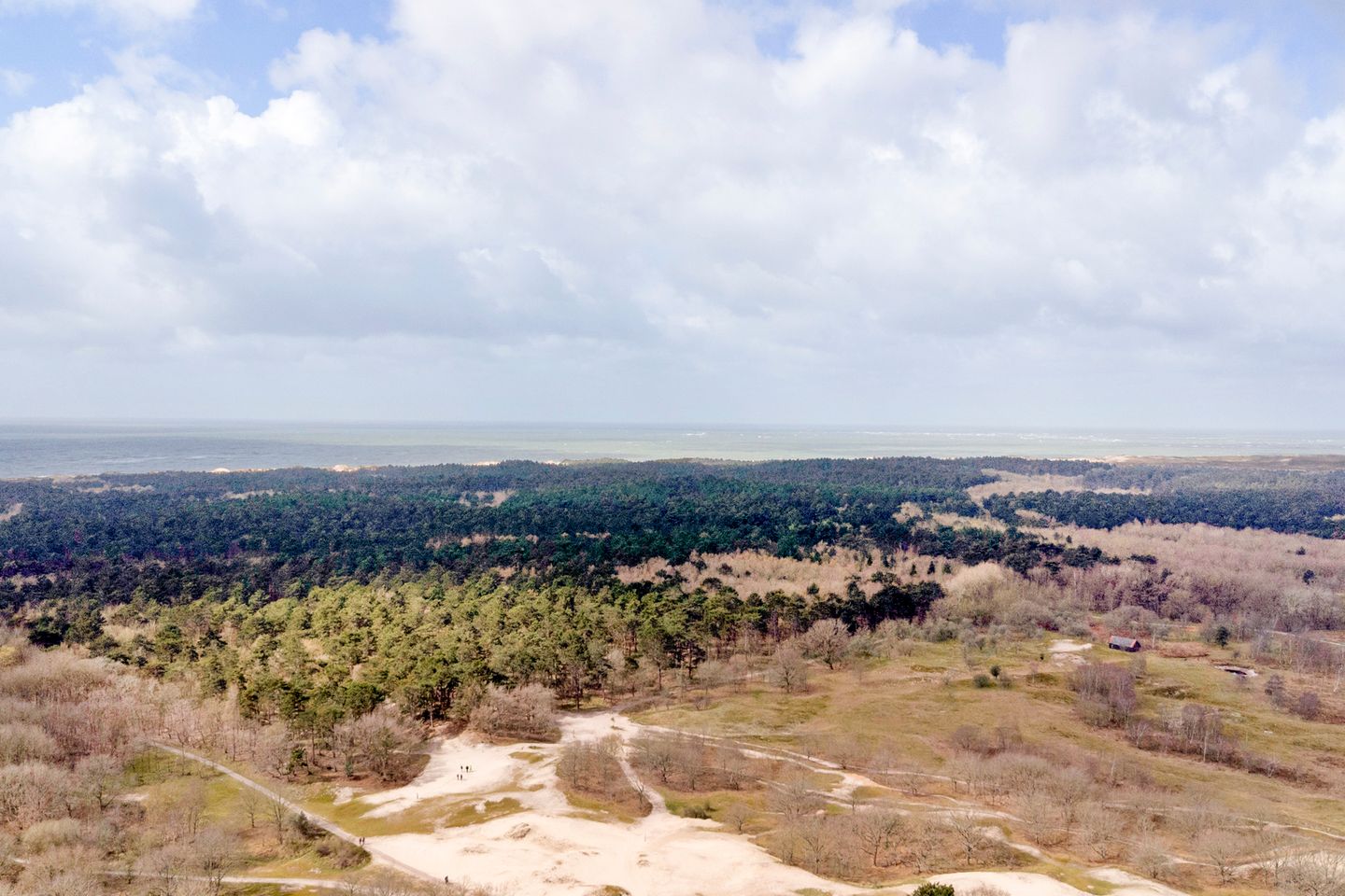 Foto 35 van Hogeweg 88-0011