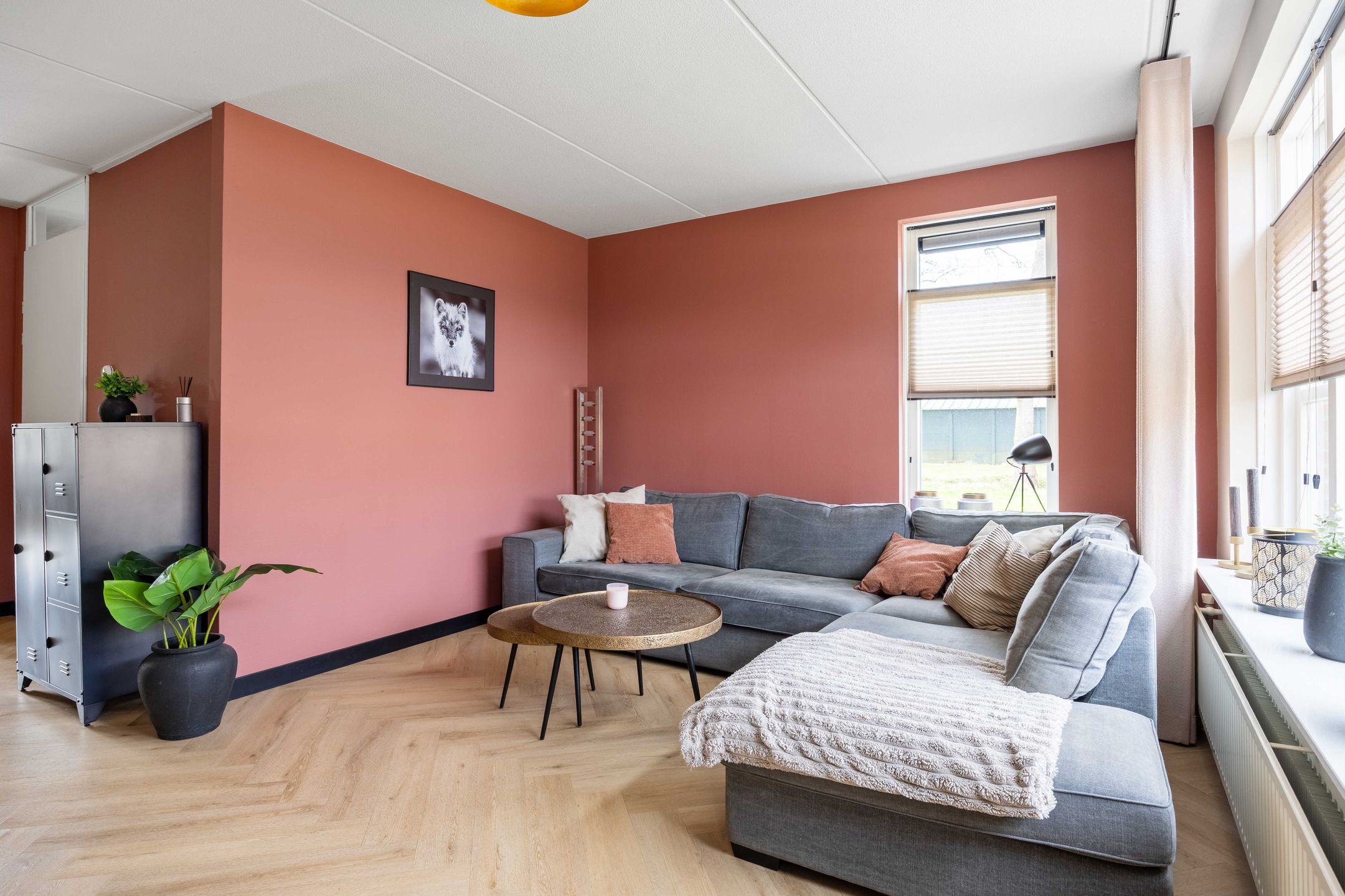 Foto 18 van Kleine Hoorn 22