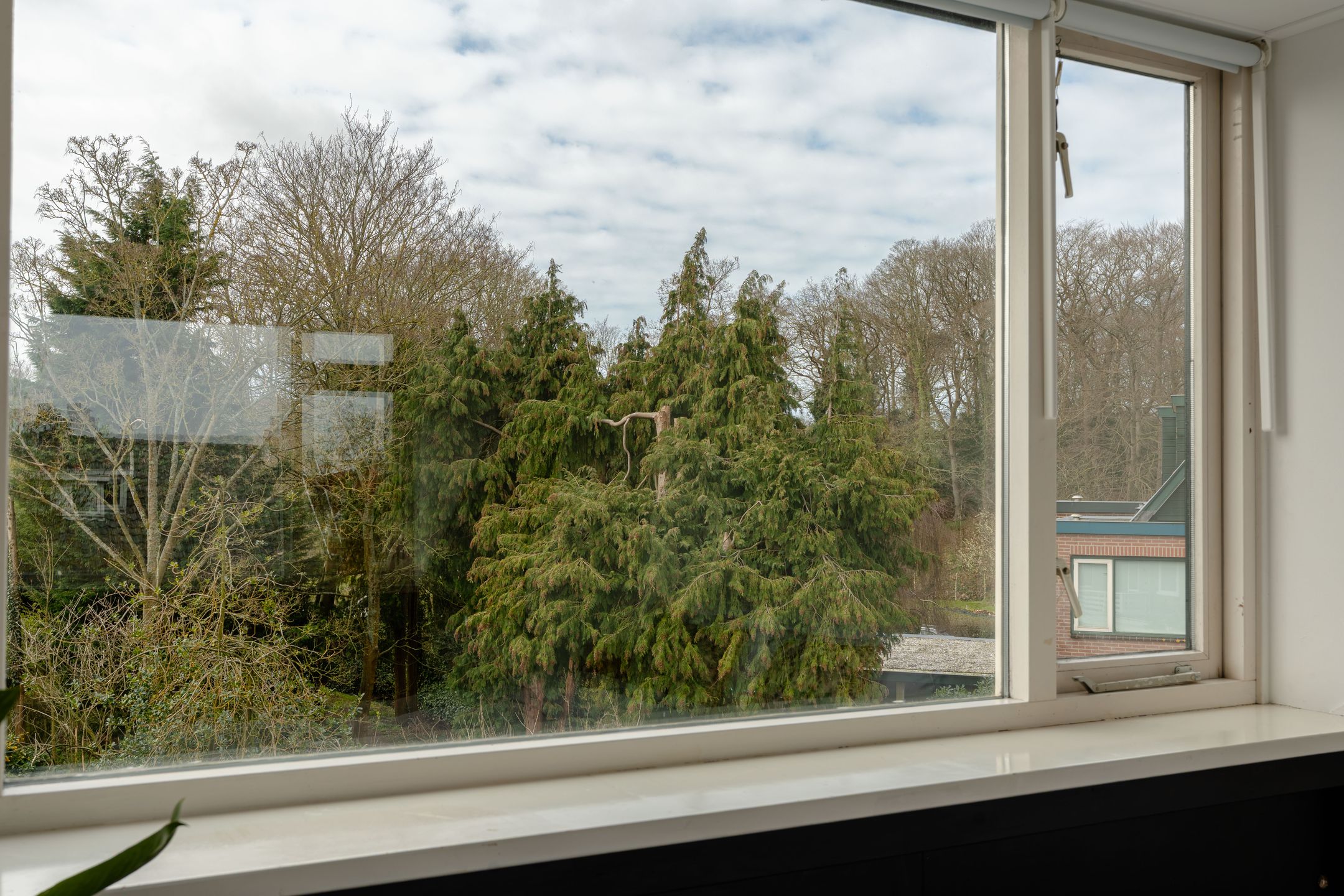 Foto 39 van Kluijskenslaan 31