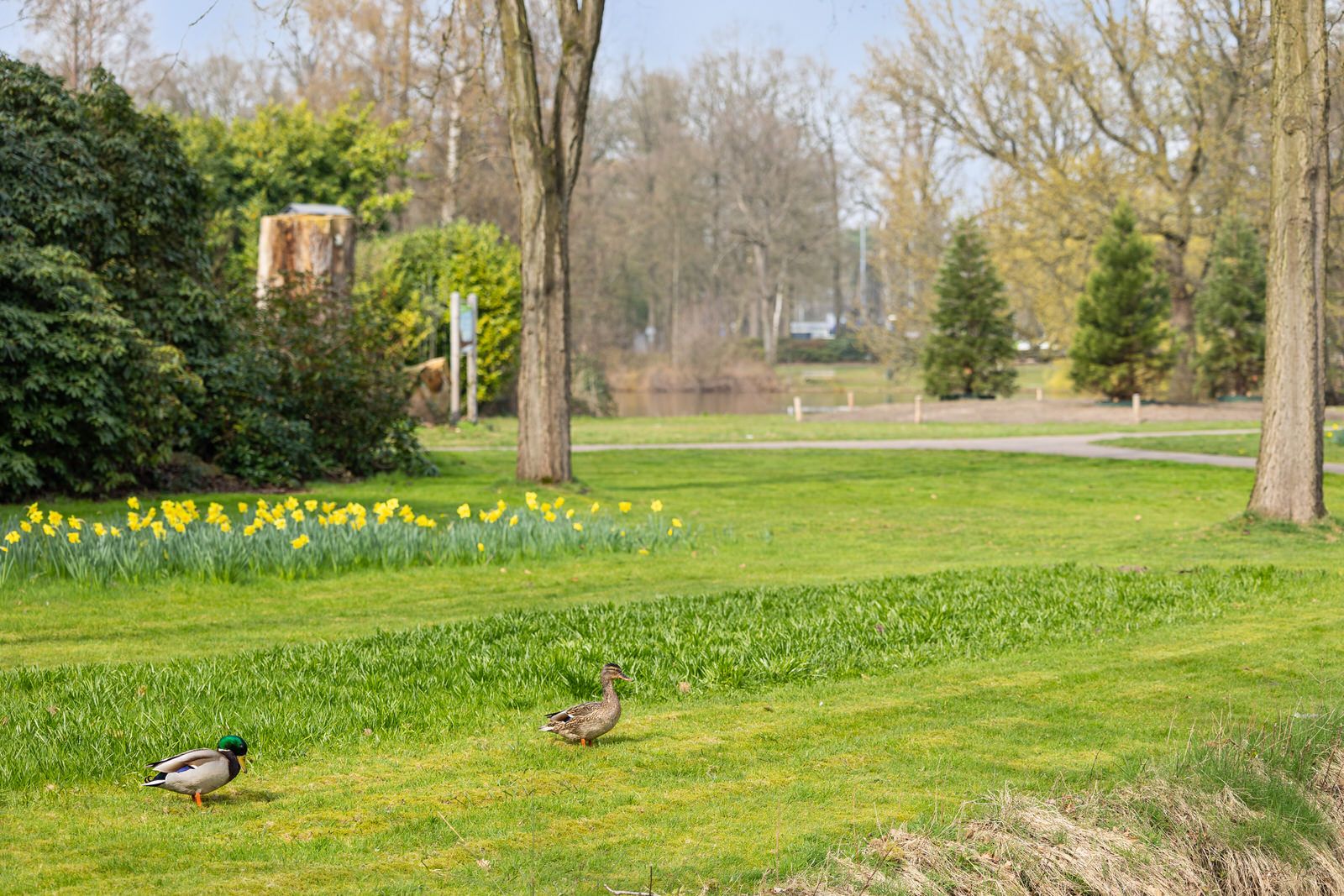 Foto 54 van Gildenhof 15