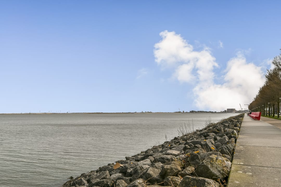 Stylish Energy-Efficient Studio with Water View on IJburg — 28