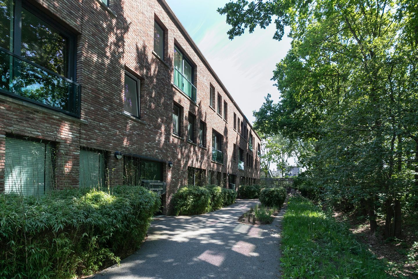 Foto 4 van Bornberg 38