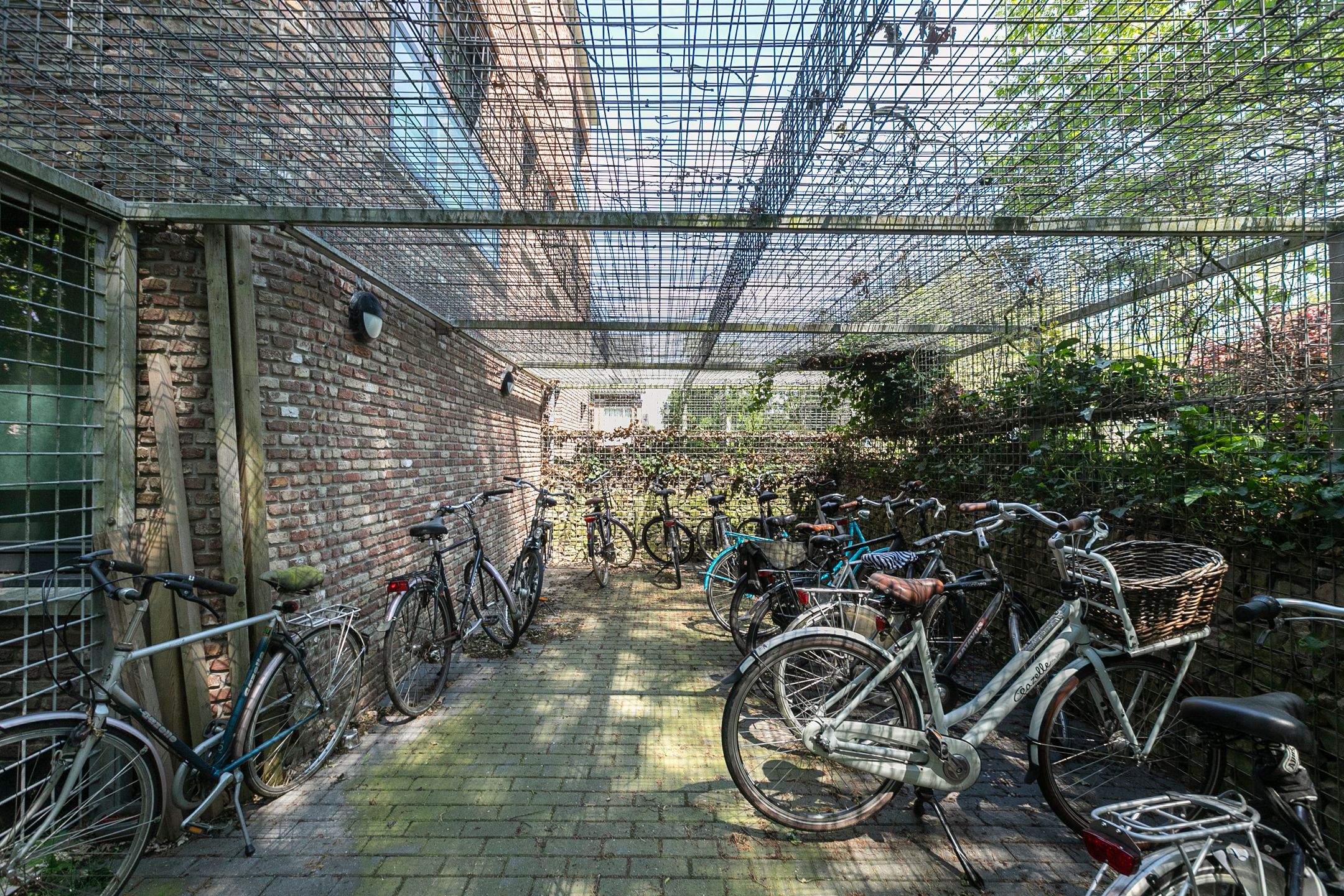 Foto 30 van Bornberg 38