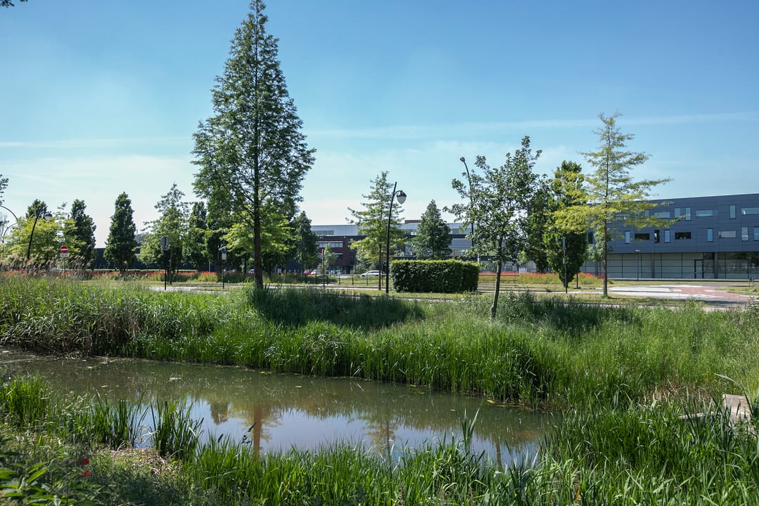 Foto 37 van Bornberg 38