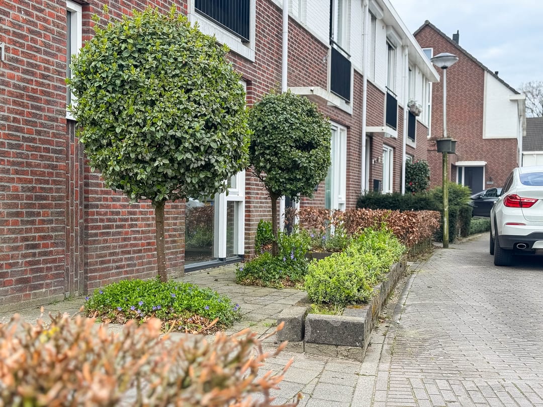 Foto 31 van de Nieuwe Zoek 1
