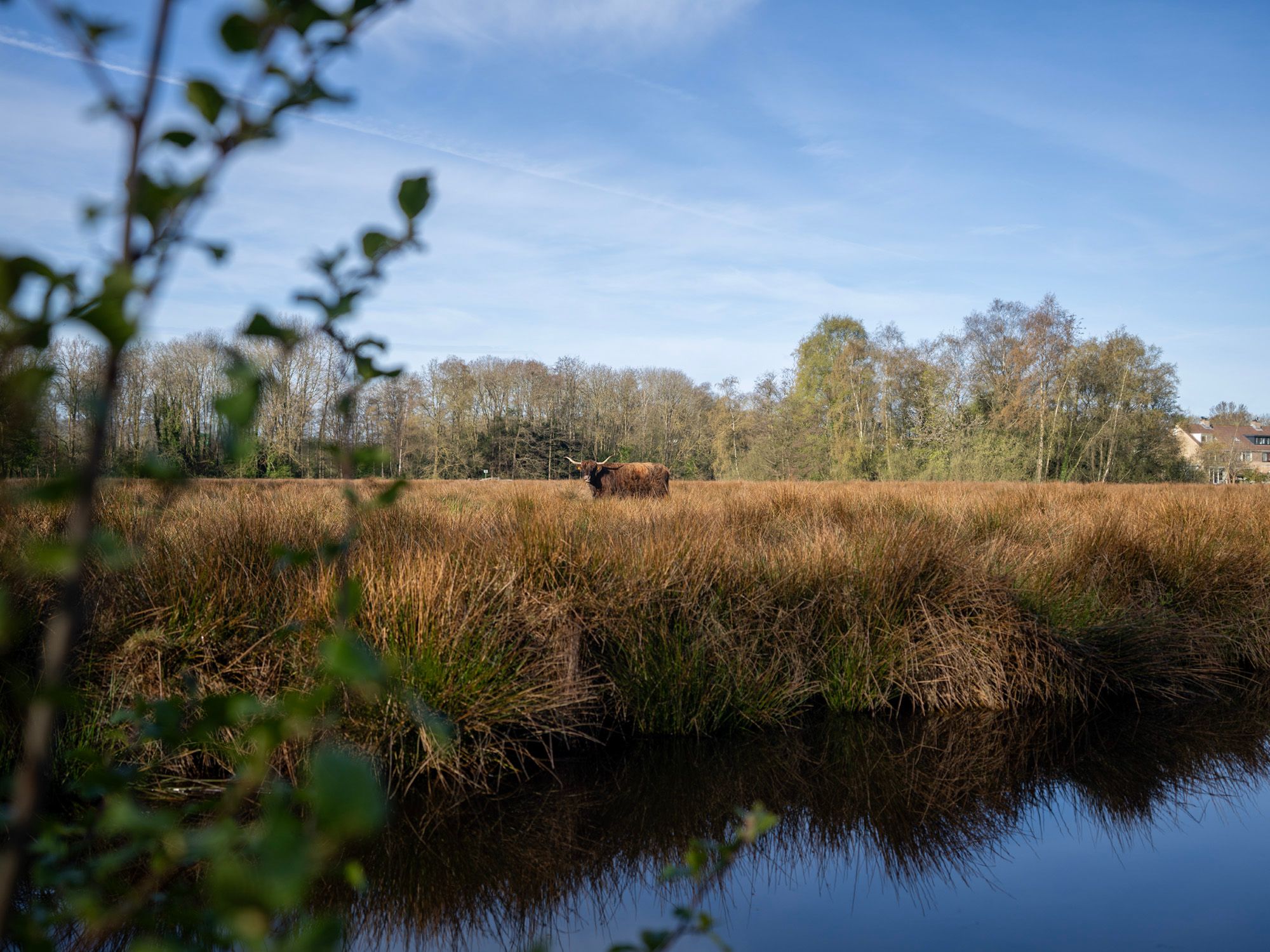 Foto 39 van Ter Braaklaan 63