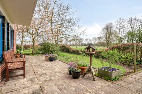 Kruidnagel 18 tertiary image