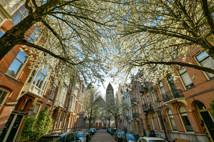 Palestrinastraat 32-2 main image