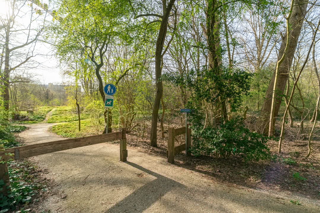 Foto 26 van Söderblomplaats 444