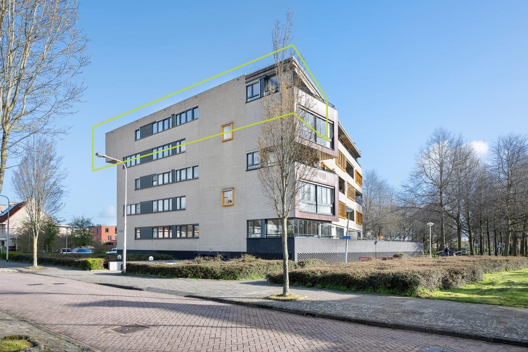 Foto 28 van Seine 45