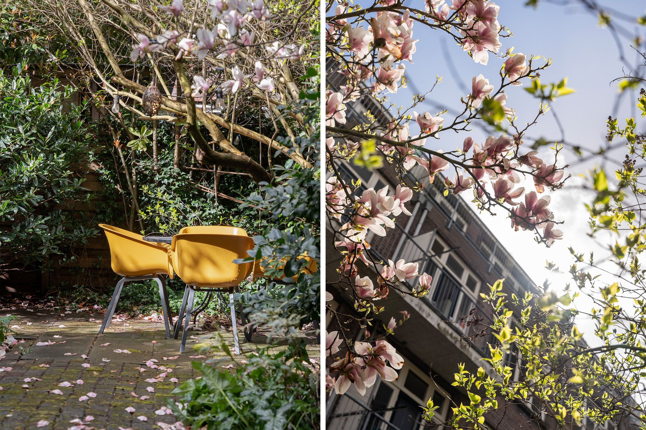 Photo 15 of Bijlwerffstraat 7-A