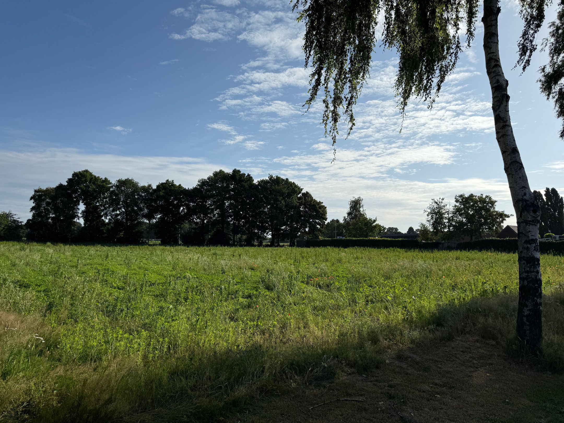 Photo 12 of Leudalweg kavel 1