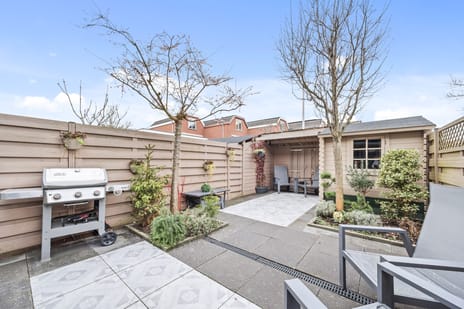 van Ostade thumbnail