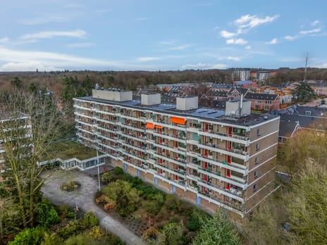 Dennenlaan thumbnail