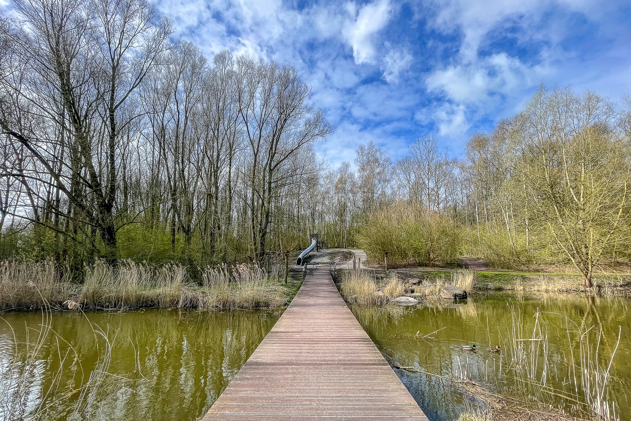 Foto 42 van Het Roege Pad 1