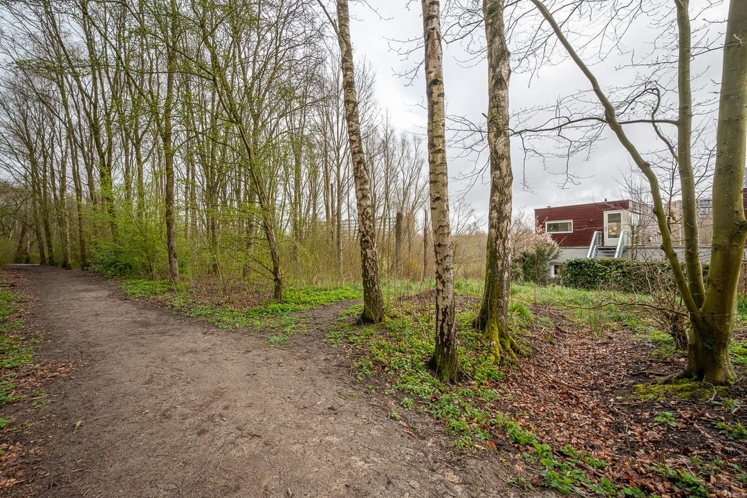 Foto 41 van Het Roege Pad 1