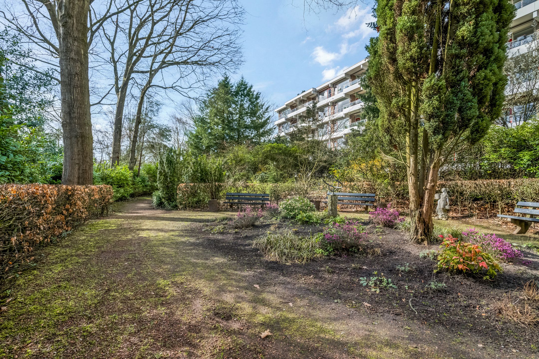 Bright corner apartment with green views in senior service flat Belvédère — 33