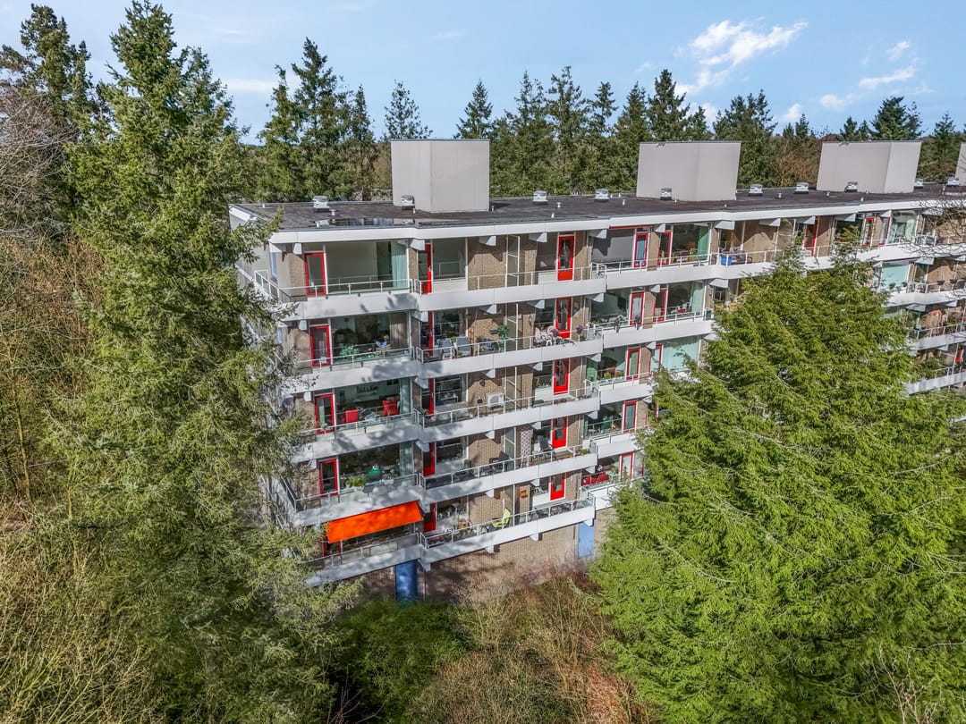 Bright corner apartment with green views in senior service flat Belvédère — 28