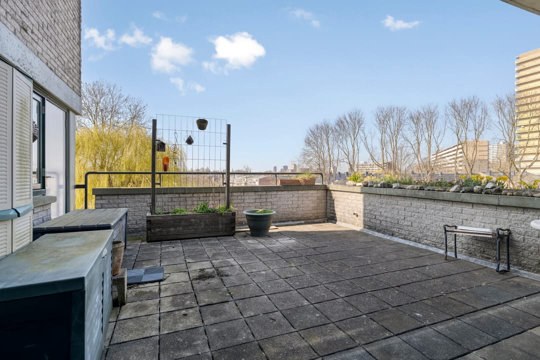 Photo 8 of Douzapad 36