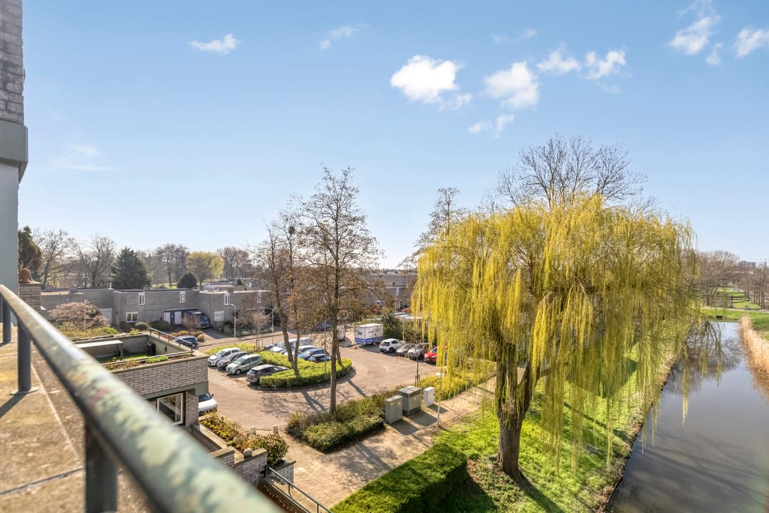 Photo 11 of Douzapad 36