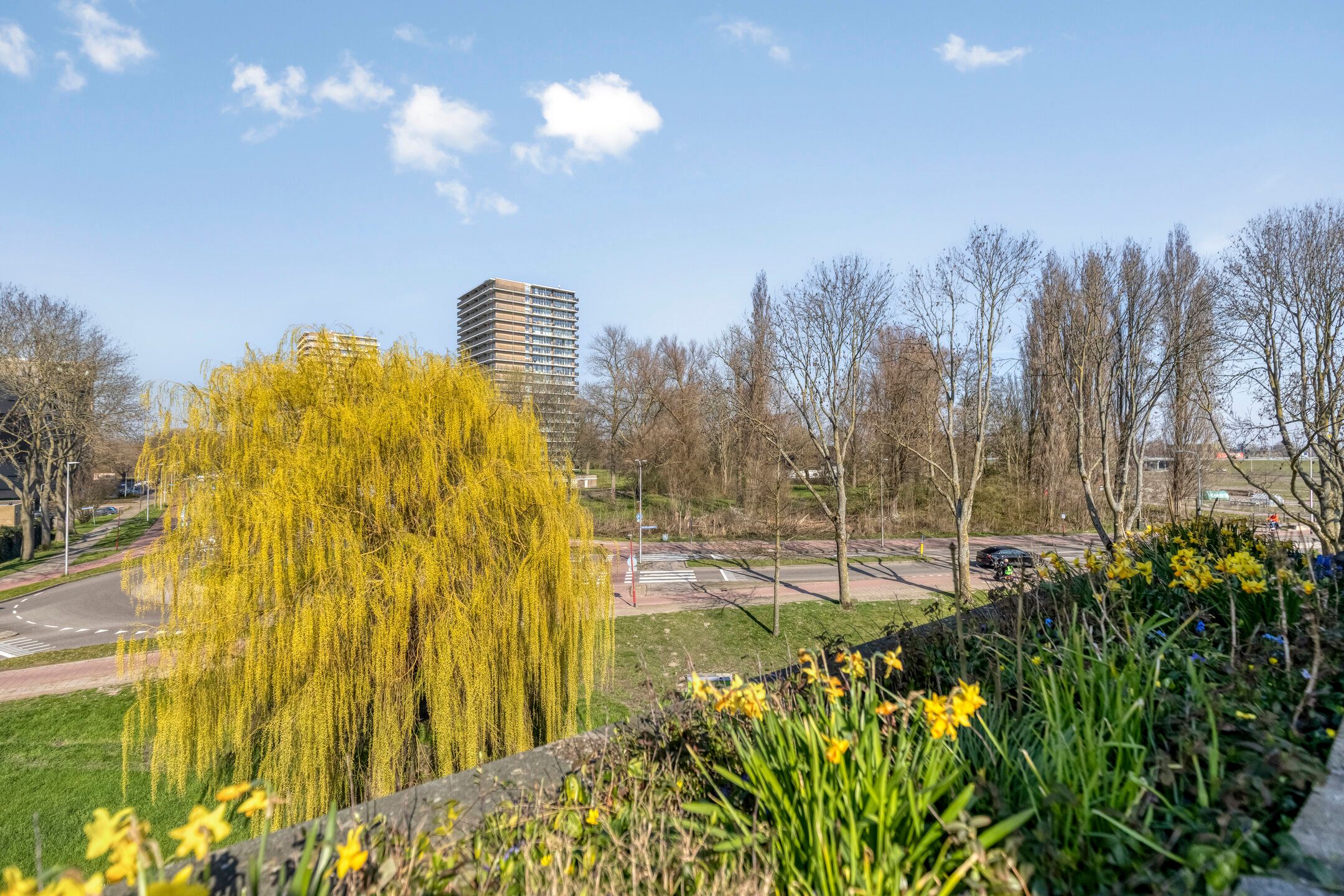 Photo 12 of Douzapad 36